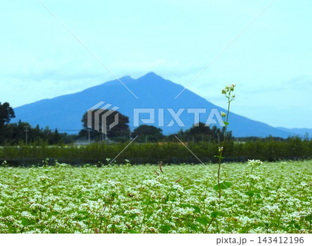 筑波山と蕎麦畑-3 143412196