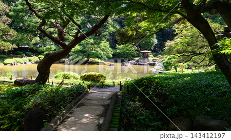 木々の緑が美しい初秋の日本庭園　旧古河庭園　東京都 143412197