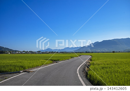 winding road through lush rice fields  143412605