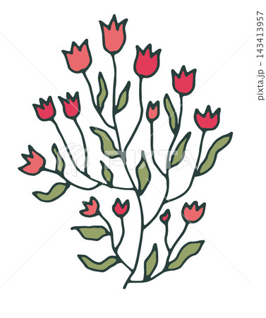 Red Folk Tulip Botanical Branch Red Folk Tulip Botanical Branch 143413957