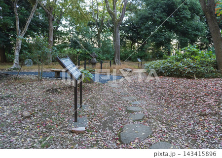 11月の飛鳥山公園・旧渋沢庭園に広がる茶席門跡の園路と晩秋の落ち葉 11月の飛鳥山公園・旧渋沢庭園に広がる茶席門跡の園路と晩秋の落ち葉 143415896