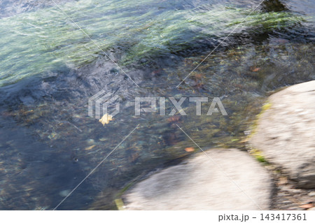清流に浮かぶ落ち葉 清流に浮かぶ落ち葉 143417361