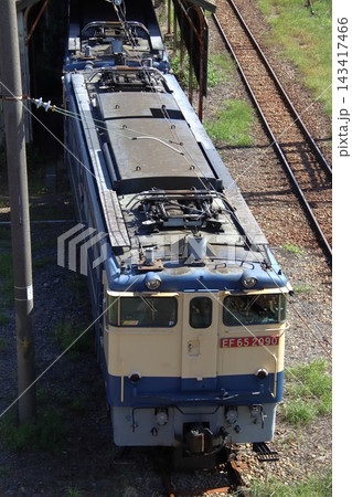新鶴見機関区に留置中のEF65形電気機関車（神奈川県川崎市幸区） 143417466