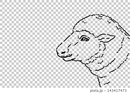 黒い線で描いた羊の横顔の葉書テンプレート 黒い線で描いた羊の横顔の葉書テンプレート 143417473