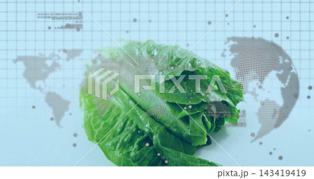 Displaying head of romaine lettuce with water droplets on pale blue grid, with world map overlay Displaying head of romaine lettuce with water droplets on pale blue grid, with world map overlay 143419419