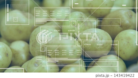 Displaying pale yellow-green potatoes on flat surface, showing transparent HUD panels and readouts Displaying pale yellow-green potatoes on flat surface, showing transparent HUD panels and readouts 143419422