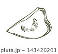 Hand drawn sketch. Triangular piece of a scallop squash. Vector clipart of white patisson. Line drawing of summer vegetable. Retro style illustration of a cymling, imitating an engraving technique. 143420201