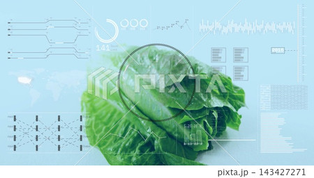 Displaying romaine lettuce head centered in lab, showing circular scan overlay and line graphs Displaying romaine lettuce head centered in lab, showing circular scan overlay and line graphs 143427271