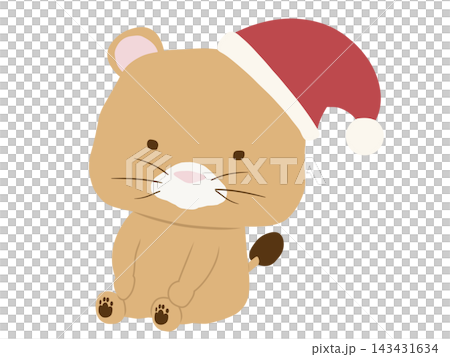 一隻戴著聖誕帽的雌獅 一隻戴著聖誕帽的雌獅 143431634