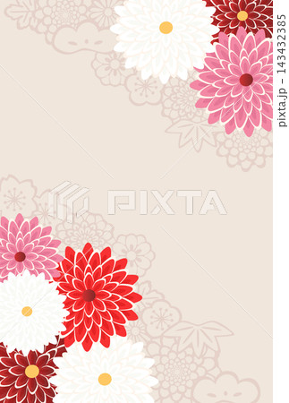 華やかな菊の花と日本の植物模様の背景イラスト 143432385