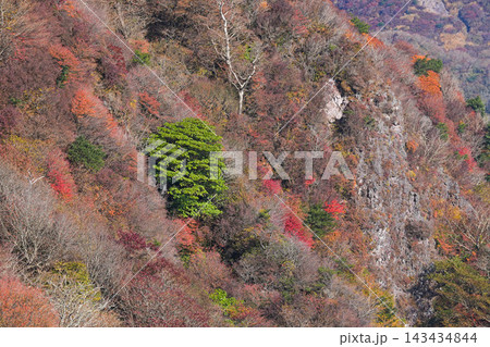 雲仙仁田峠 143434844