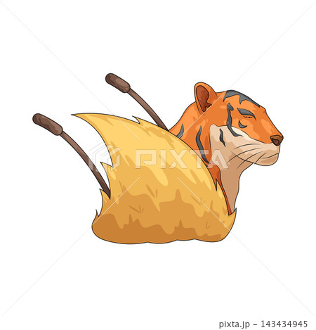 Illustration of Tiger Illustration of Tiger 143434945