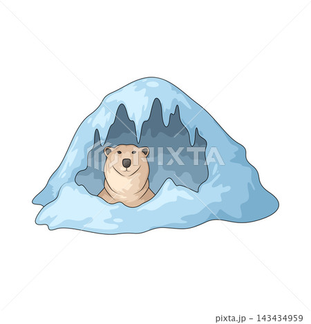 Illustration of Polar Bear Illustration of Polar Bear 143434959