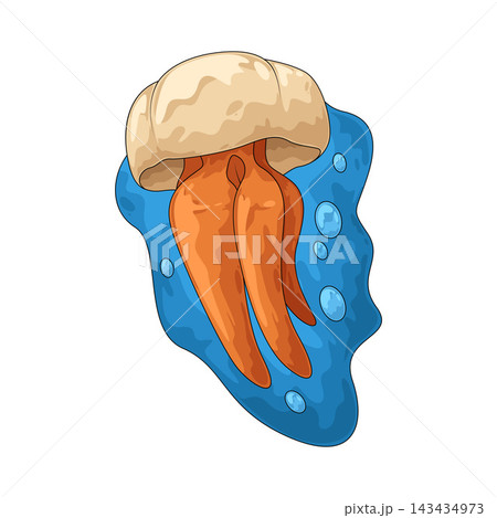 Illustration of Jellyfish Illustration of Jellyfish 143434973