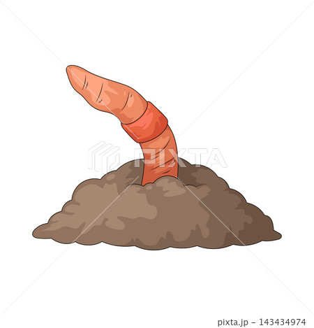 Illustration of Earthworm Illustration of Earthworm 143434974
