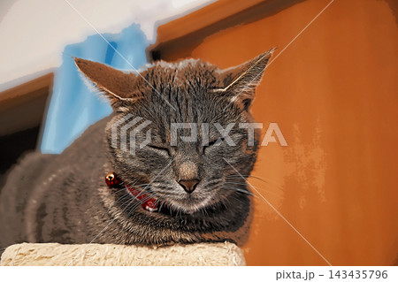 スケッチ風 猫 ネコ ねこ キジトラ グレー 雌 メス 雌ねこ 雌ネコ 元気 かわいい 癒し 143435796