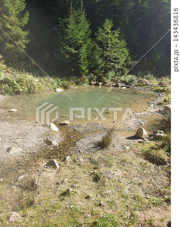 Small clear mountain pond surrounded by stones, gravel and dense coniferous forest in sunlight. Peaceful natural water source in the woods Small clear mountain pond surrounded by stones, gravel and dense coniferous forest in sunlight. Peaceful natural water source in the woods 143436816