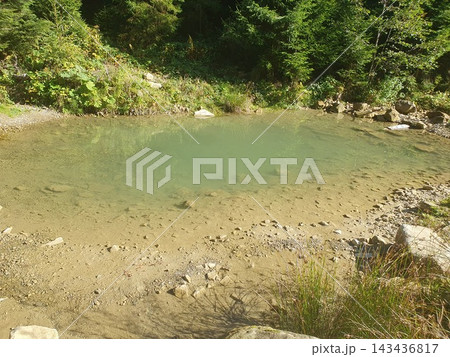 Shallow clear pond with sandy stony bottom nestled among dense pine forest and green bushes. Secluded natural water source in the mountains 143436817