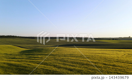 Rolling green agricultural fields under clear sky at sunset, showing rural landscape and farming land Rolling green agricultural fields under clear sky at sunset, showing rural landscape and farming land 143439679