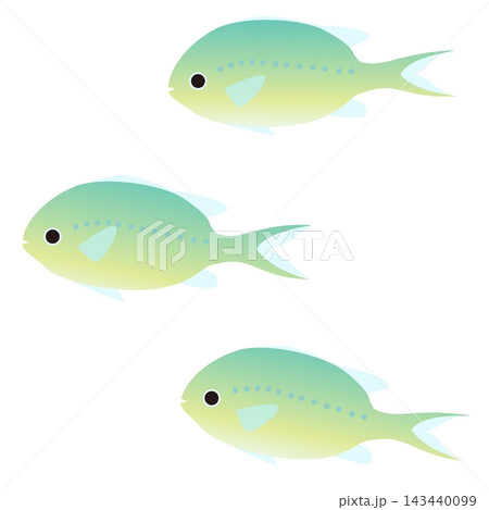 泳いでいる可愛らしい3匹の熱帯魚ーデバスズメダイのイラスト 143440099