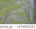 春の温もり優しい色合い 143440281
