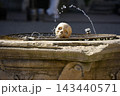 Shakespeare Castle Skull Decoration on Stone Fountain with Water Arc to be or not to be 143440571