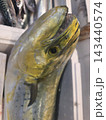 A Close Up Portrait of a Mahi Mahi Dorado Fish dolphinfish at the market 143440574