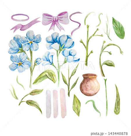 Blue and pink forget-me-nots, myosotis, scorpion grass, hand painted with watercolors and isolated on white background. Suitable for postcards, invitations, wedding, prints and packaging Blue and pink forget-me-nots, myosotis, scorpion grass, hand painted with watercolors and isolated on white background. Suitable for postcards, invitations, wedding, prints and packaging 143440878