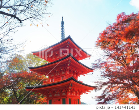 奈良県　岡寺の三十宝塔と紅葉　11月 143441143