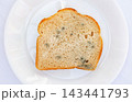 Slice of bread on a white plate showing signs of mold in bright light setting 143441793