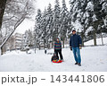 Family enjoys winter day in snowy park with sled and trees 143441806