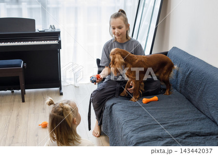 Friends children playing dog sitting on sofa at home. Kids and red cocker spaniel pet Friends children playing dog sitting on sofa at home. Kids and red cocker spaniel pet 143442037