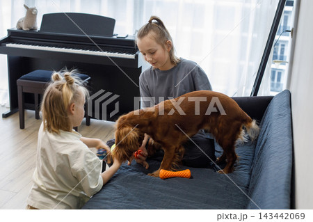 Attractive blond sister and brother indoor portrait. Happy children 143442069