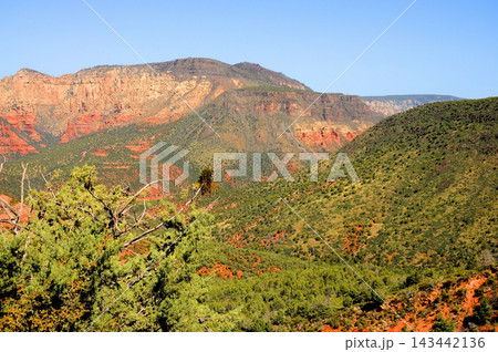 Red Rock Country surrounding Sedona Arizona Red Rock Country surrounding Sedona Arizona 143442136