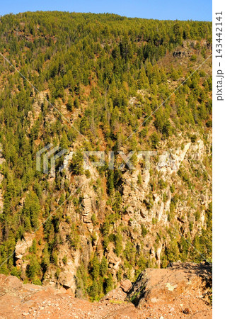 Red Rock Country surrounding Sedona Arizona 143442141