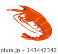 エビの煮付けのイラスト 143442342