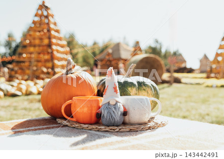 Autumn Pumpkin and Gnome with Cozy Mugs at Outdoor Harvest Market Autumn Pumpkin and Gnome with Cozy Mugs at Outdoor Harvest Market 143442491