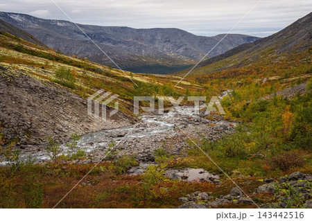 Winding Mountain River Flowing Through Vibrant Autumn Arctic Tundra Winding Mountain River Flowing Through Vibrant Autumn Arctic Tundra 143442516