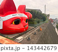 常滑名物招き猫 143442679