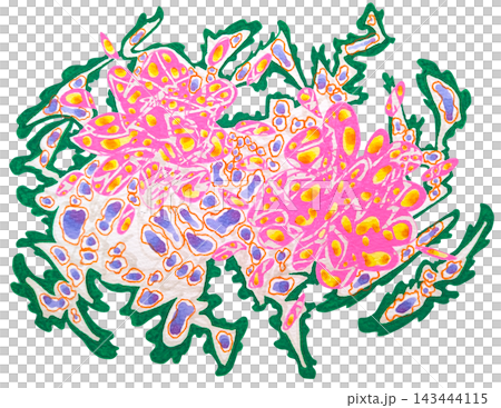 黄金の光をちらちら見せる桃色の花 黄金の光をちらちら見せる桃色の花 143444115