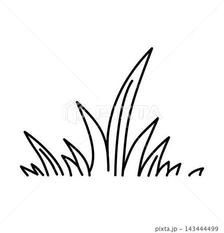 doodle grass outline doodle grass outline 143444499