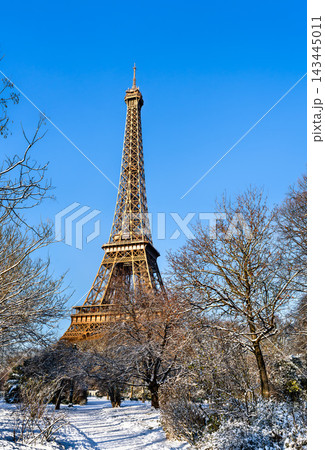The Eiffel Tower rising behind snow covered park trees under a clear blue sky during winter in Paris, France The Eiffel Tower rising behind snow covered park trees under a clear blue sky during winter in Paris, France 143445011