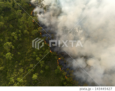 Forestry workers conduct prescribed burn in Florida, with controlled flames advancing slowly across dry grassland Forestry workers conduct prescribed burn in Florida, with controlled flames advancing slowly across dry grassland 143445427
