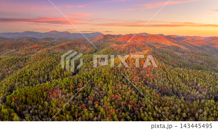 Fall season in Appalachian mountains with dense forest canopies at sunset. Colorful woodland landscape in autumn. Fall season in Appalachian mountains with dense forest canopies at sunset. Colorful woodland landscape in autumn. 143445495