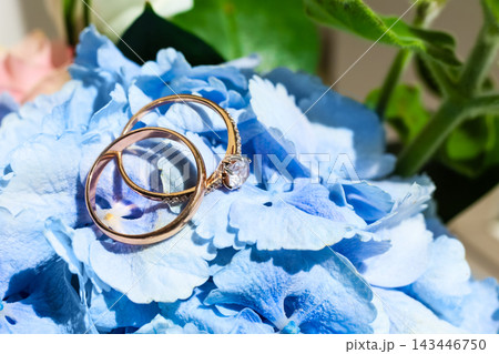 Rings on blue hydrangea flowers with soft petals in a natural setting during daylight hours Rings on blue hydrangea flowers with soft petals in a natural setting during daylight hours 143446750
