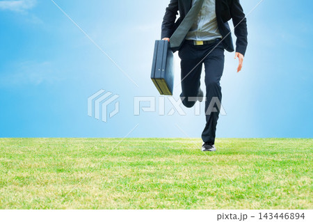 Corporate man, running and briefcase in field for mockup space, time management and travel to work. Professional, male person and late for business meeting, company and rushing in nature for job Corporate man, running and briefcase in field for mockup space, time management and travel to work. Professional, male person and late for business meeting, company and rushing in nature for job 143446894
