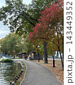 Autumn park walking path alongside pond with red and green trees for seasonal background and nature walkway banner 143449352