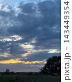 Dramatic cloudy sunset sky landscape with horizon and silhouetted trees for background wallpaper and serene nature scene 143449354