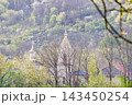 Orthodox monastery in a forest valley. Natural landscape. 143450254