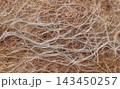 studio shot of a plant root background. 143450257